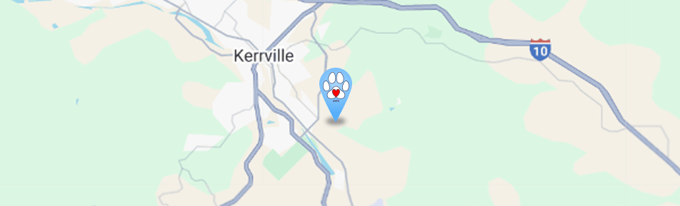 Contact Us Banner Background Image