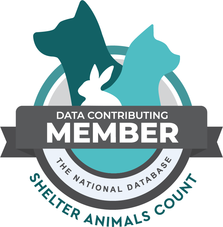 Shelter Animals Count